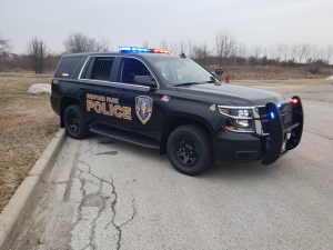 bedford park, il police car