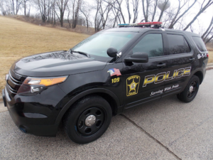 berwyn, il police car