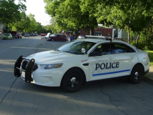 blue island, il police car