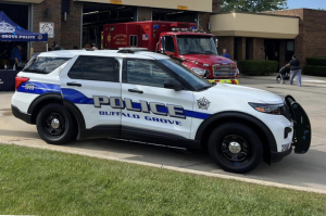 buffalo grove, il police car