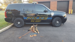 ellisville, mo police car and police dog
