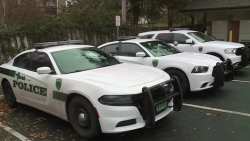 glendale, mo police cars