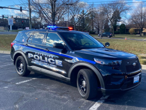 palatine, il police car