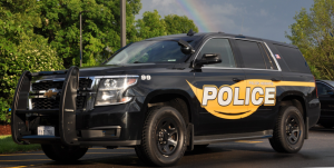 palos heights, il police car