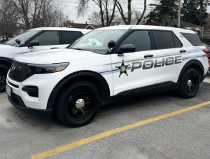 stickney, il police car