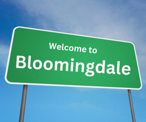 welcome to bloomingdale, il sign