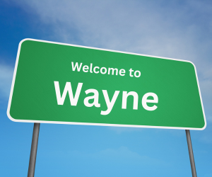 welcome to wayne, il sign