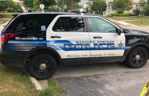 western springs, il police car