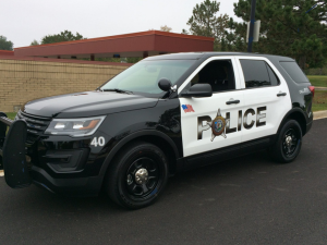 woodridge, il police car